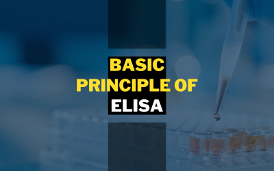 Basic Principle of ELISA